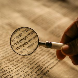 person holding magnifying glass